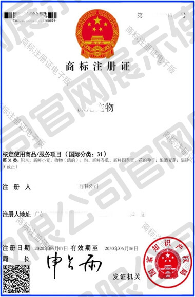 荣誉资质